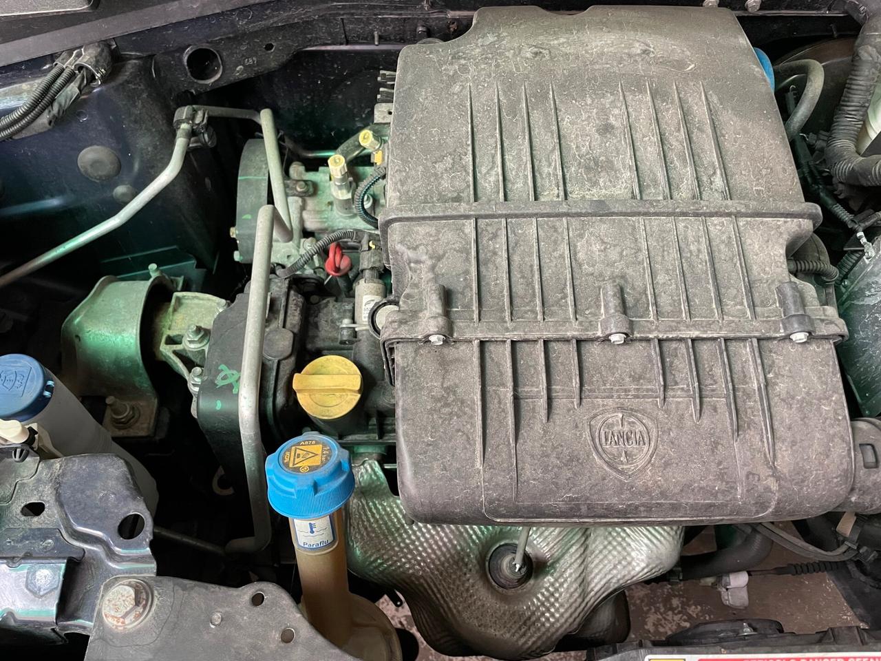 Lancia Ypsilon 1.2 69 CV 5 porte S&S Gold 40.000KM!!!