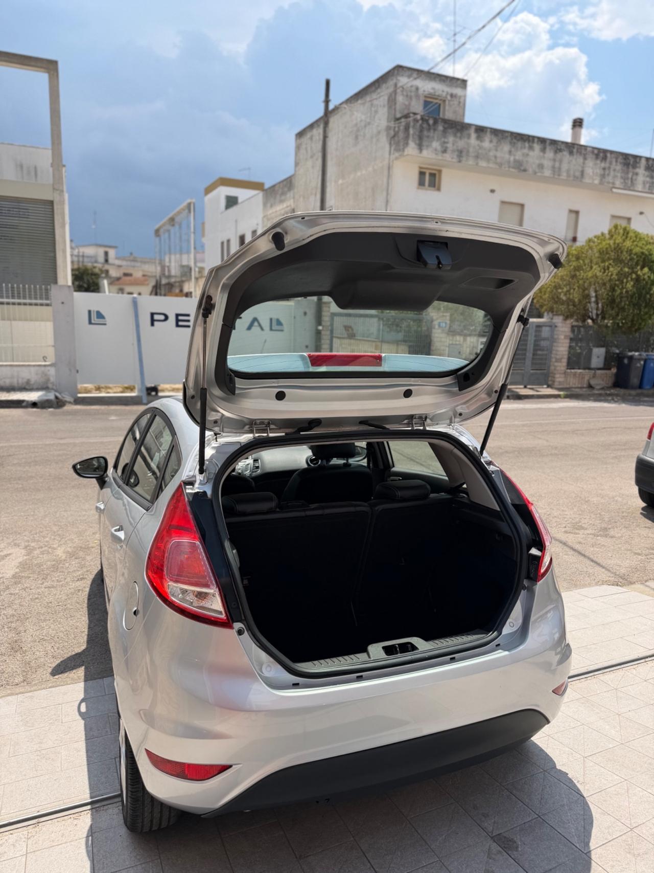 Ford Fiesta 1.5 TDCi 75CV 5 porte Business-2015