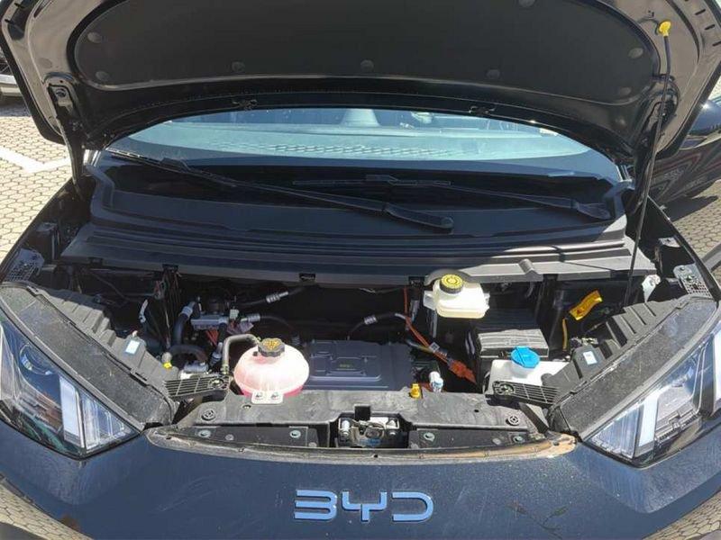 BYD Dolphin Surf Boost