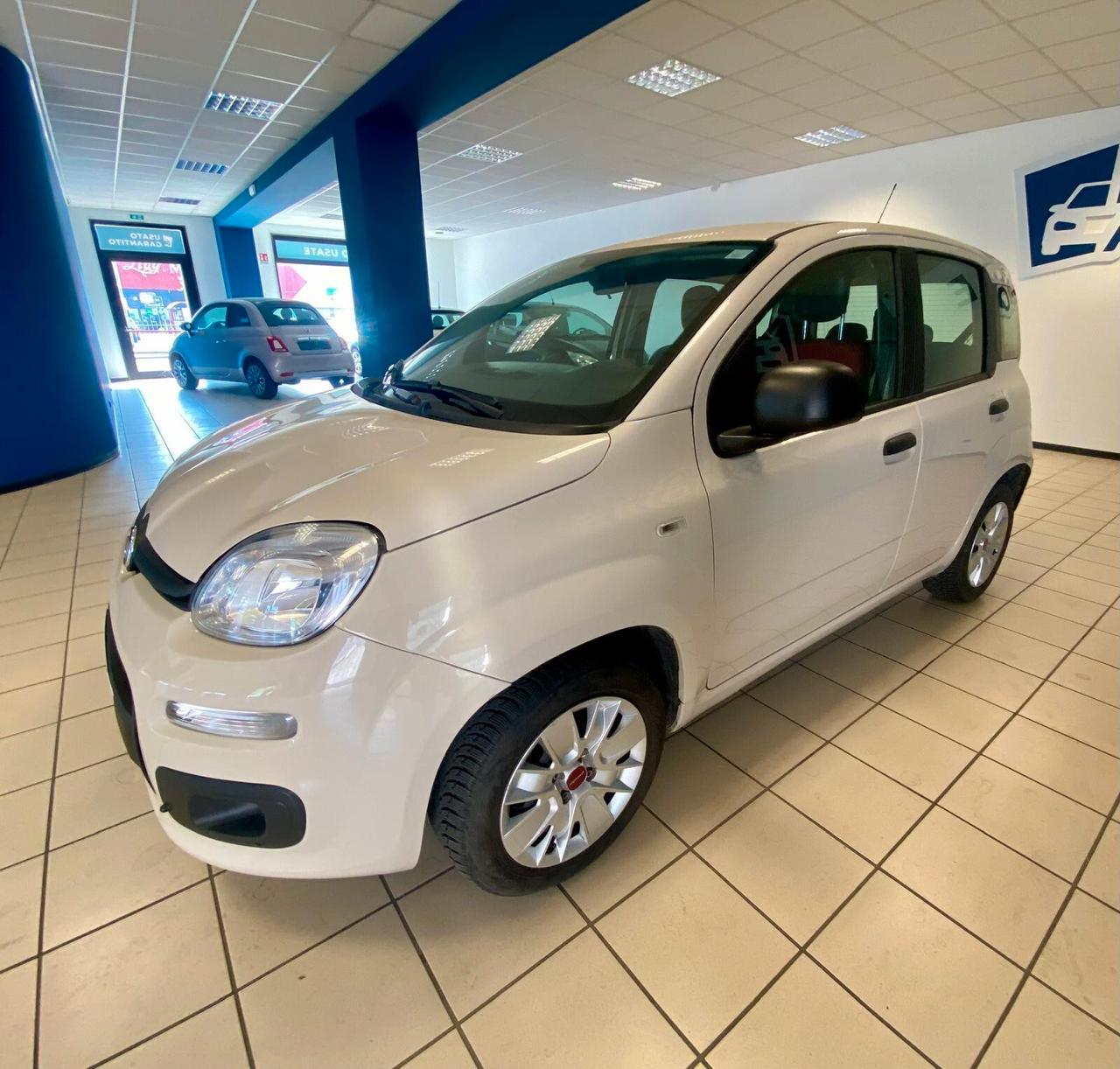 Fiat Panda 1.2 Easy UNICO PROPRIETARIO 34000KM