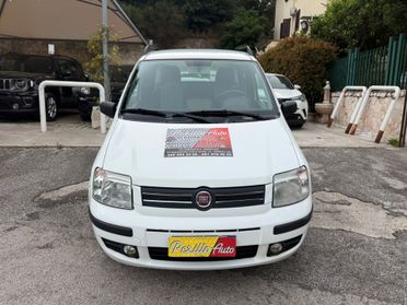 Fiat Panda 1.2 Dynamic Natural Power