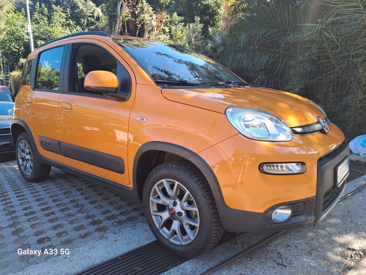 Fiat Panda Cross 4x4 uniproprietario iva esposta