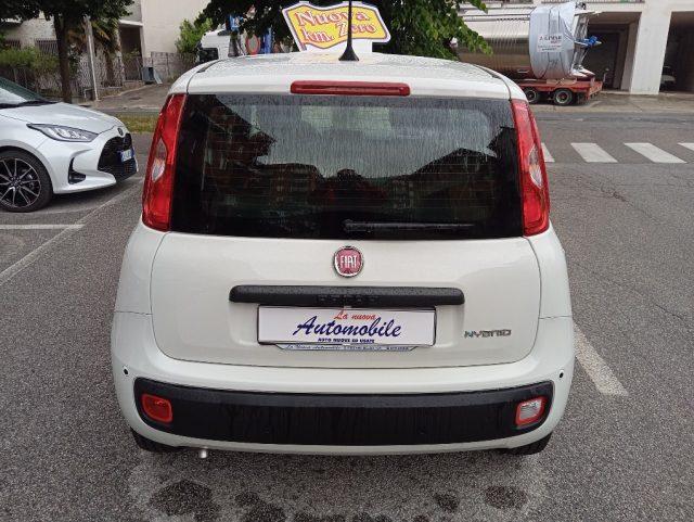 FIAT Panda 1.0 FireFly HYBRIID KM 0 SENSORI POST PREZZO REALE