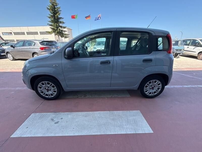 FIAT Panda 1.2 70 CV