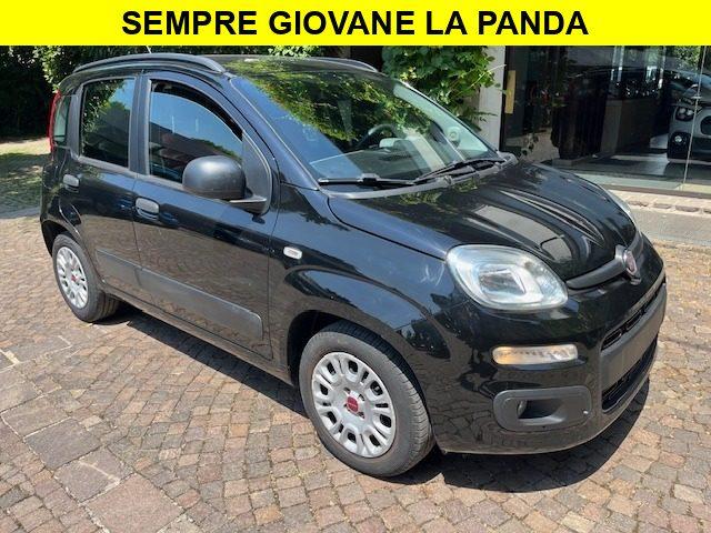 FIAT Panda 1.2 Benzina Neopatentati