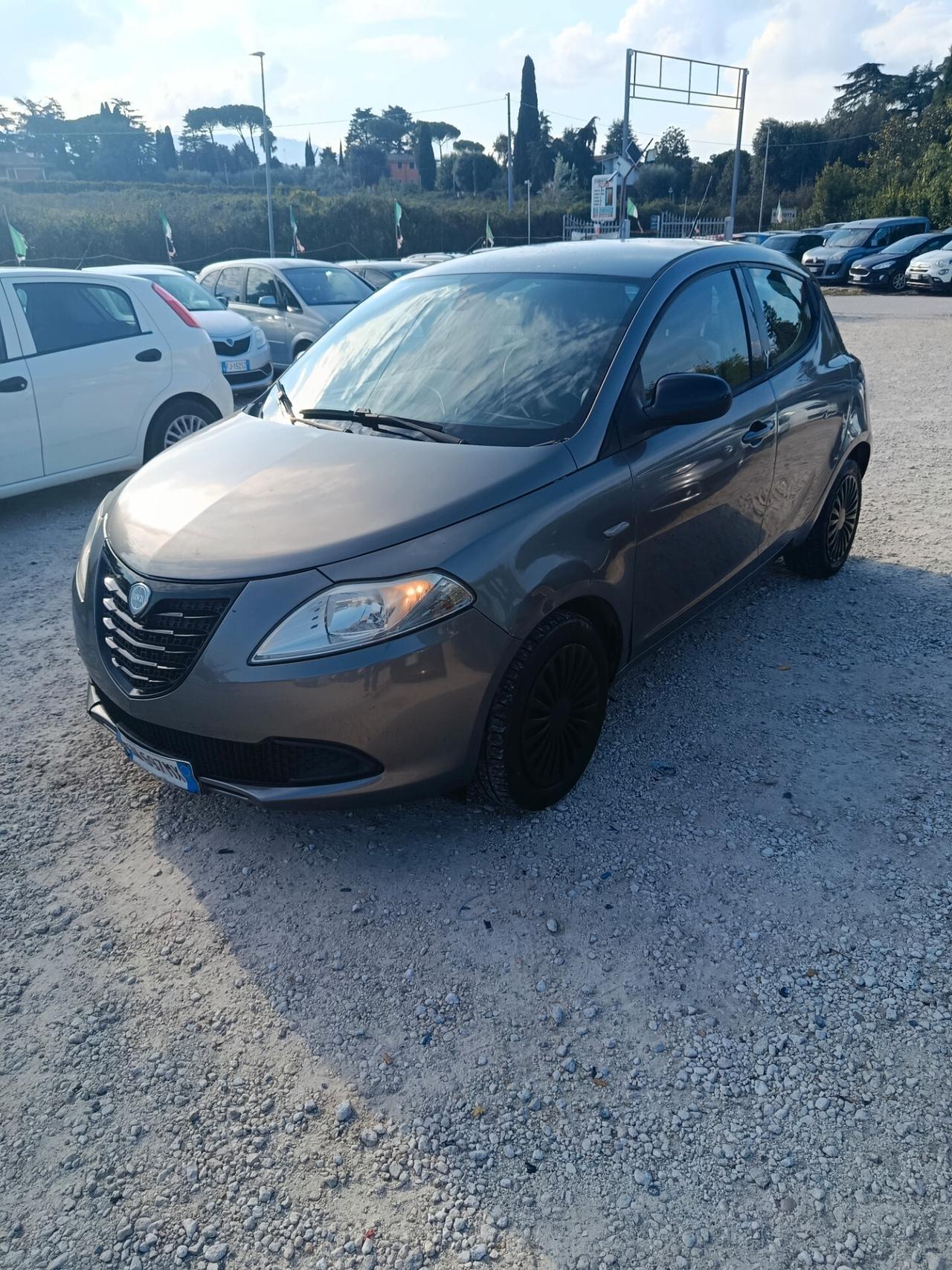 Lancia Ypsilon 1.2 69 CV 5 porte GPL Ecochic Elefantino