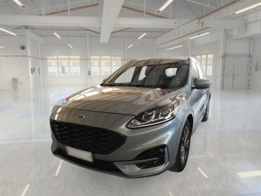 FORD KUGA 1.5 ECOBLUE 120 CV 2WD ST-LINE AUTO SUV