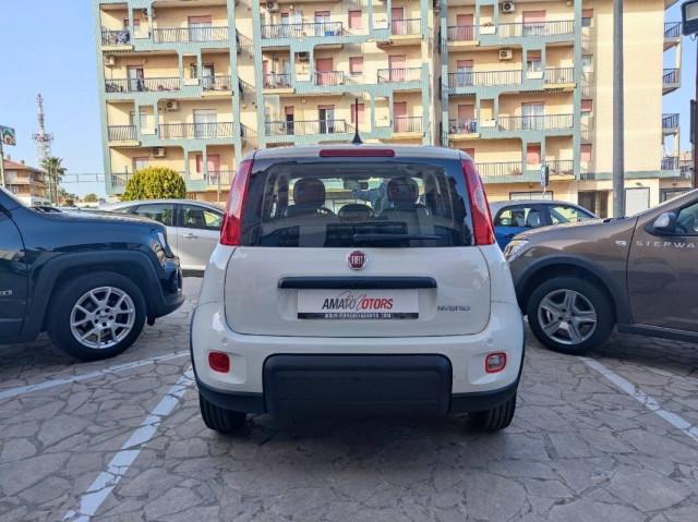 Fiat Panda III FIAT Panda 1.0 firefly hybrid s&s 70cv