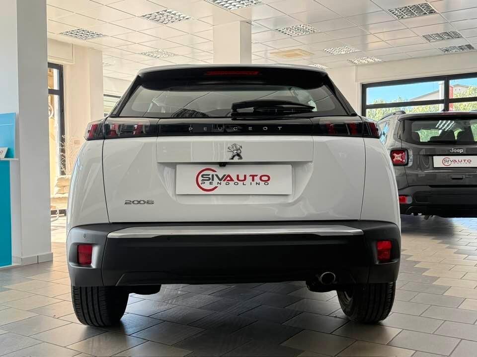 Peugeot 2008 BlueHDi 110 S&S Active con Telecamera