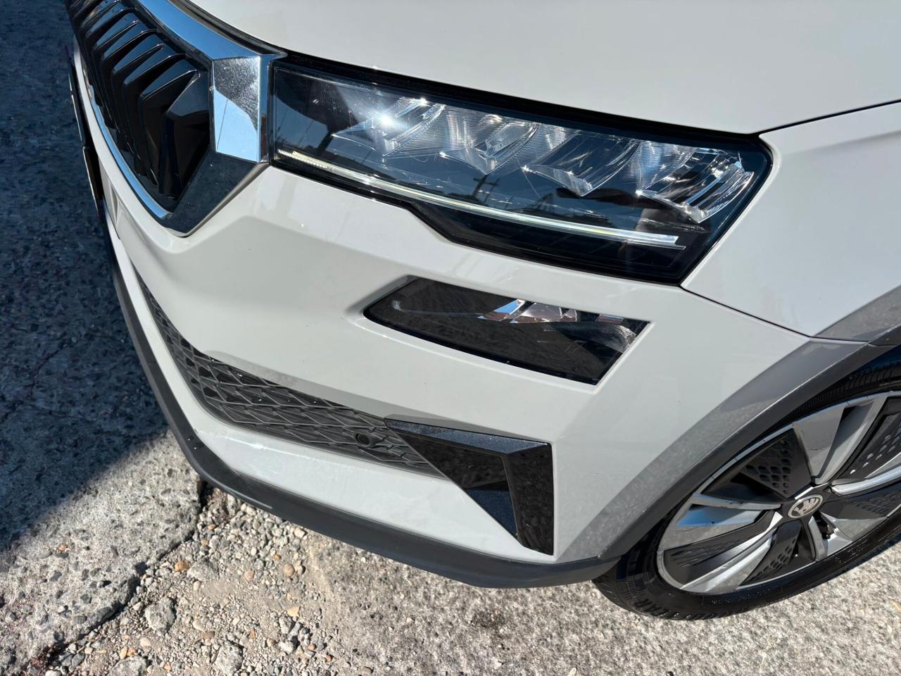 Skoda Karoq 2.0 TDI EVO SCR 115 CV DSG Executive