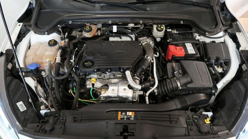 Ford Focus Focus SW 1.5 ecoblue ST-Line s&s 120cv