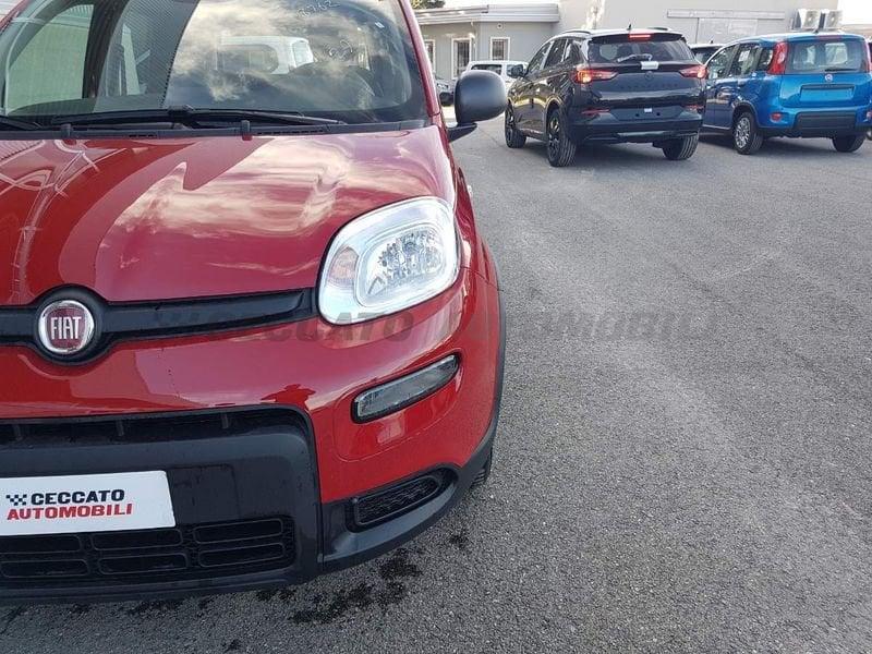 FIAT Panda 1.0 70cv Hybrid Panda