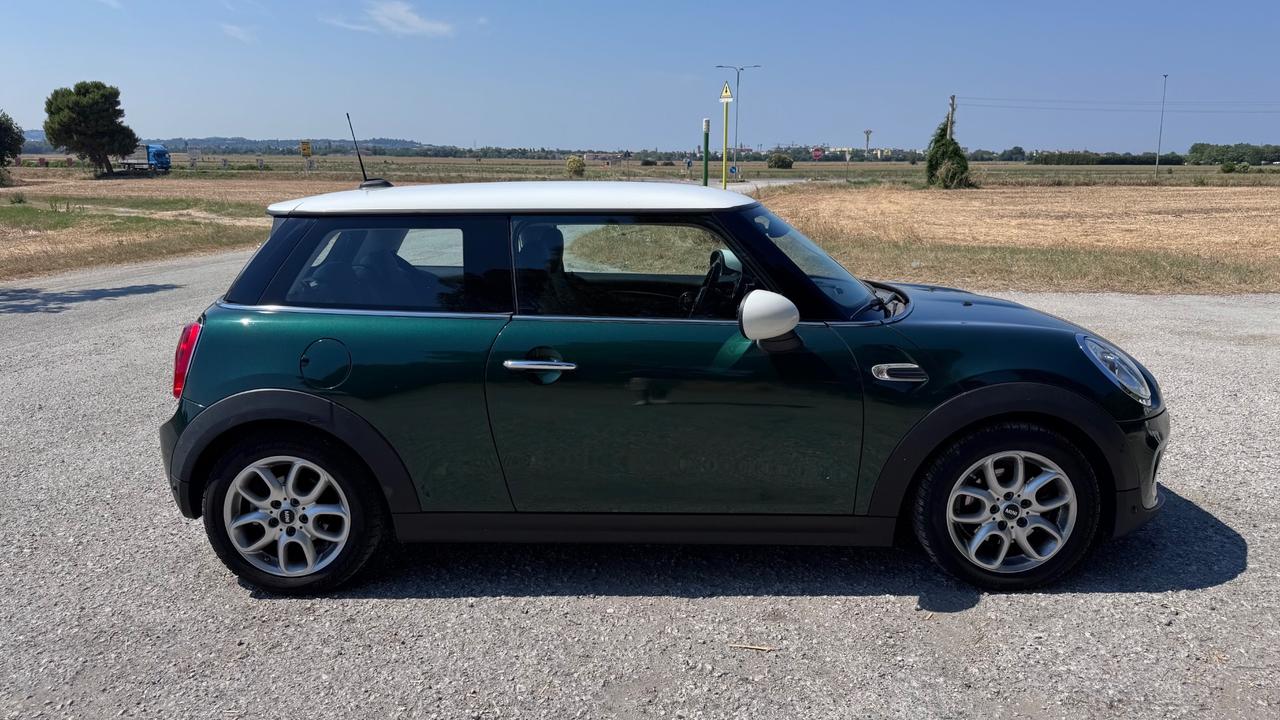 Mini 1.5 One D Hype