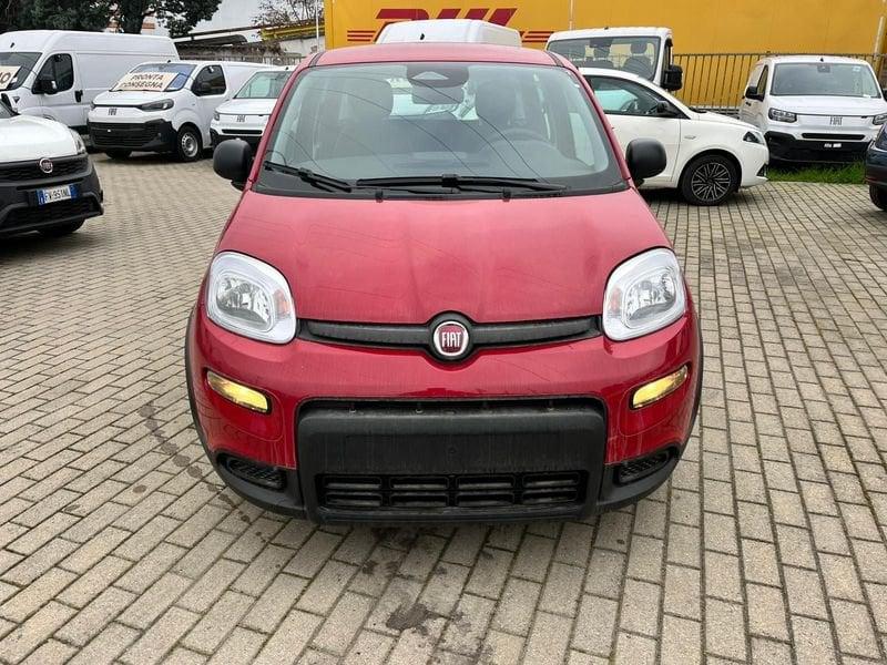 FIAT Panda 1.0 FireFly S&S Hybrid Pandina