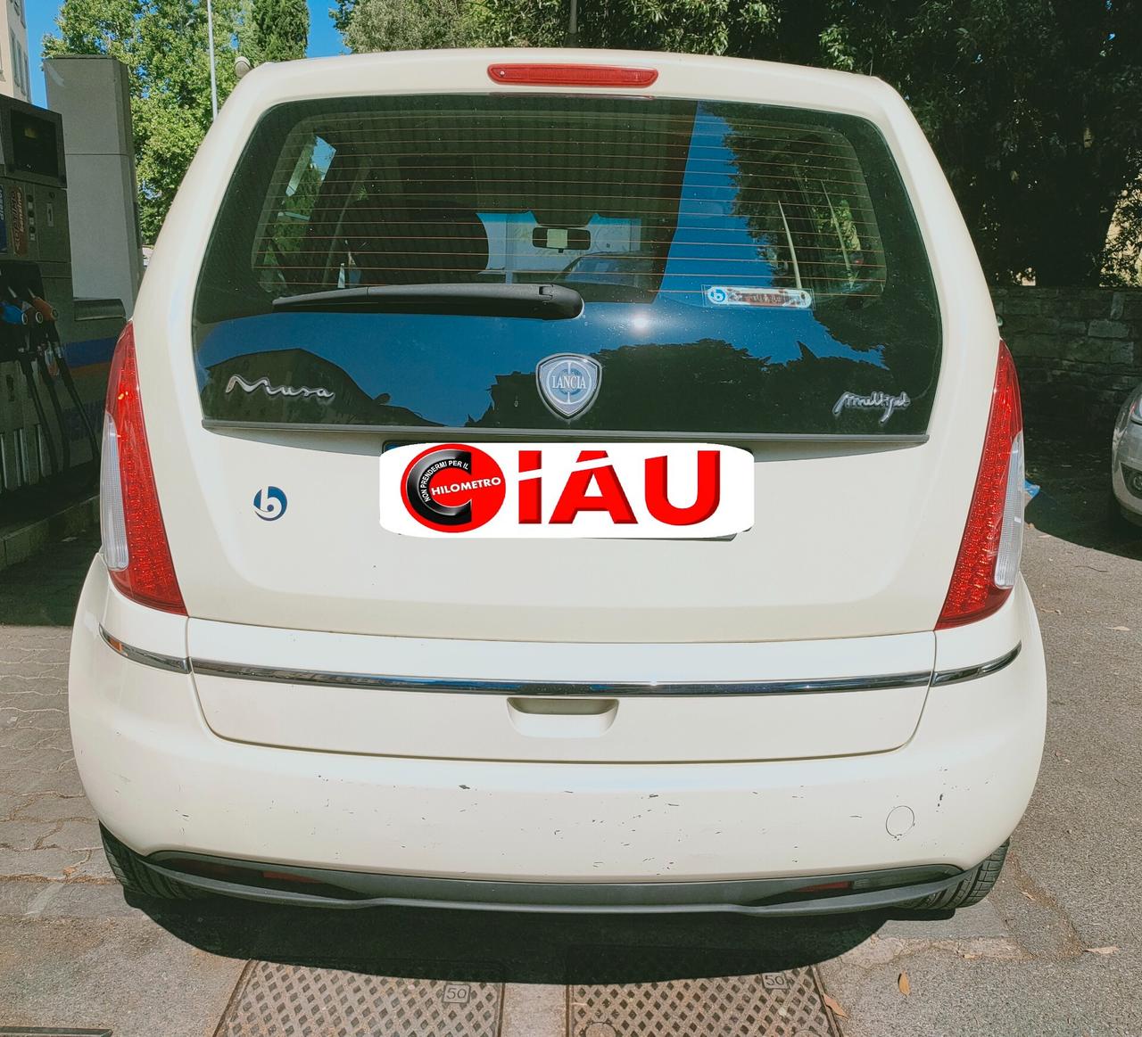 Lancia MUSA 1.3 Multijet 70 cv Argento