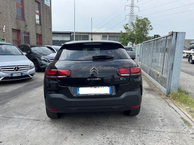 CITROEN C4 Cactus BlueHDi 100 S&S Shine