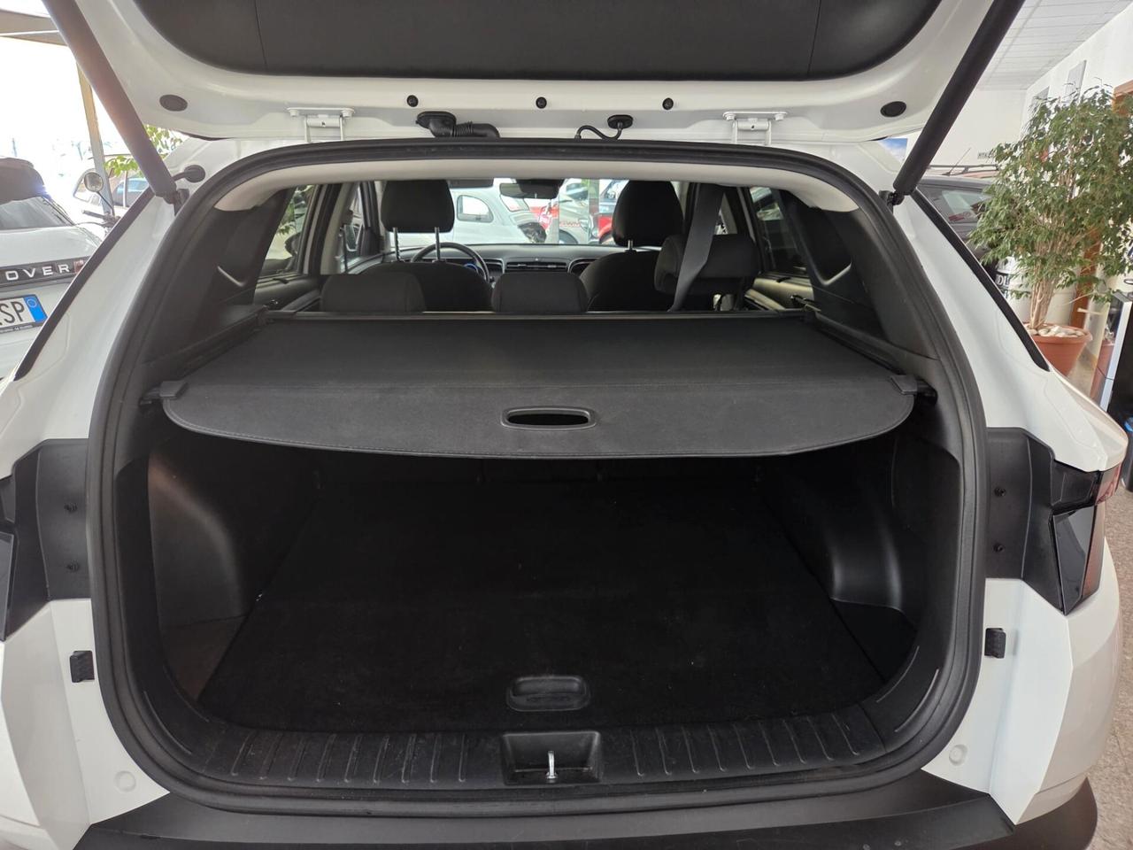 Hyundai Tucson 1.6 HEV aut.Exellence 230cv Cross