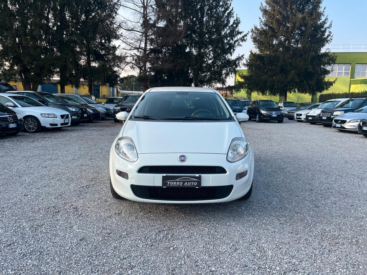Fiat Punto 1.3 MJT II S&S 95 CV 5 porte Street