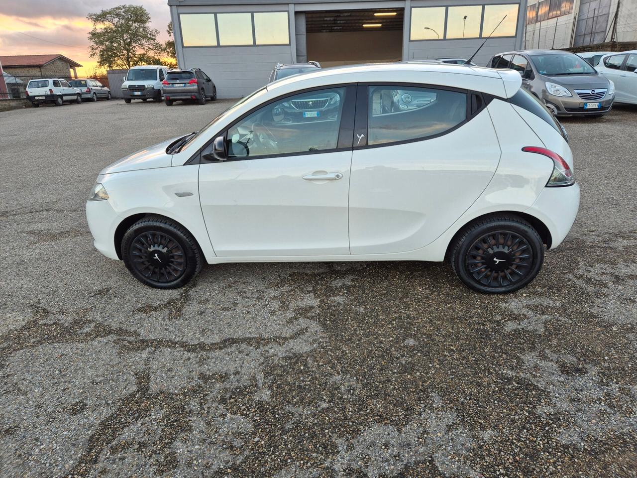 Lancia Ypsilon 1.2 69 CV 5 porte Elefantino