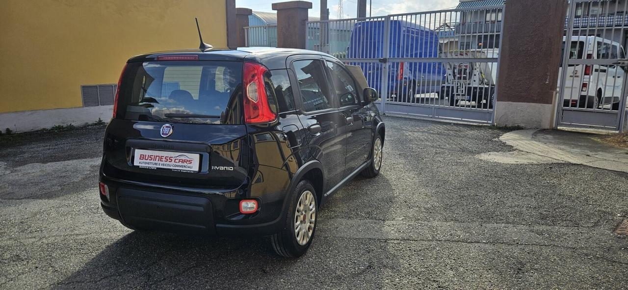 Fiat Panda 1.0 FireFly S&S Hybrid 70 CV KM. 15000 PRONTA CONSEGNA - AUTO PER NEOPATENTATI