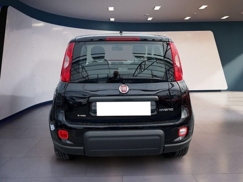 FIAT Panda My24 1.0 70cv Hybrid Panda
