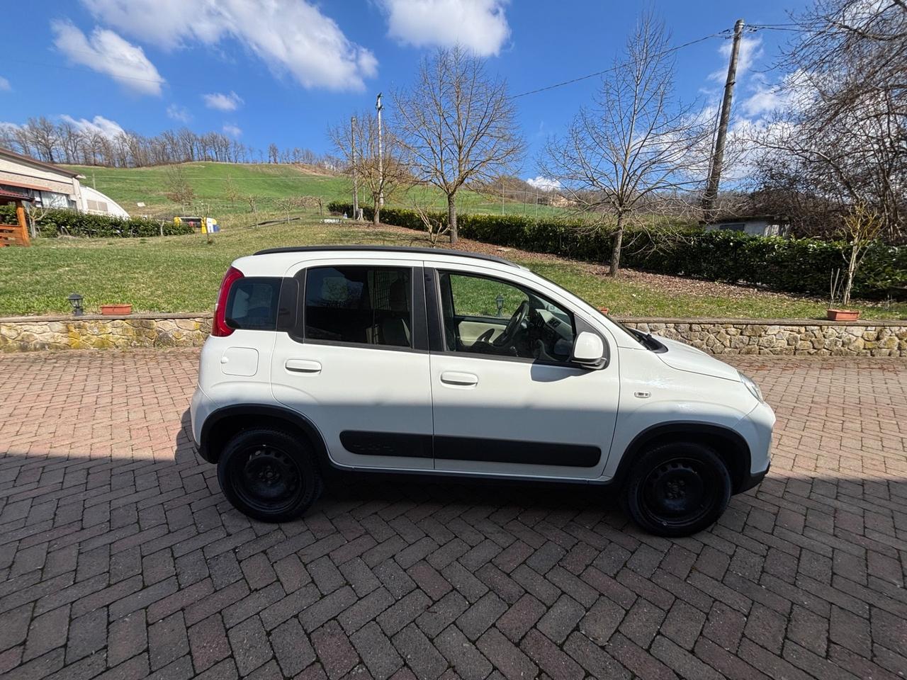 Fiat Panda 1.3 MJT S&S 4x4 Lounge Van 2 posti