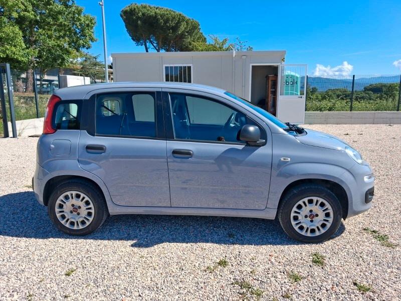 FIAT Panda 3ª serie Panda 1.2 Easy