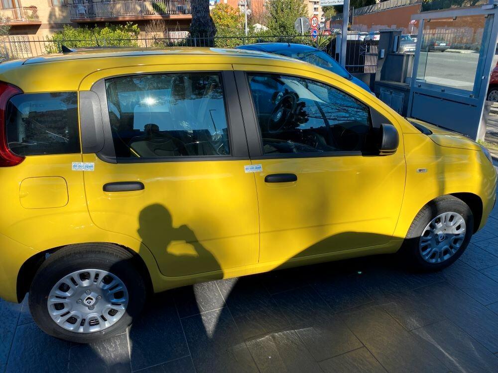 Fiat Panda Pandina 1.0 FireFly 65 CV Hybrid Pop