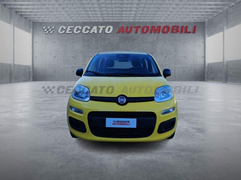 FIAT Panda Panda 1.0 70cv Hybrid Icon