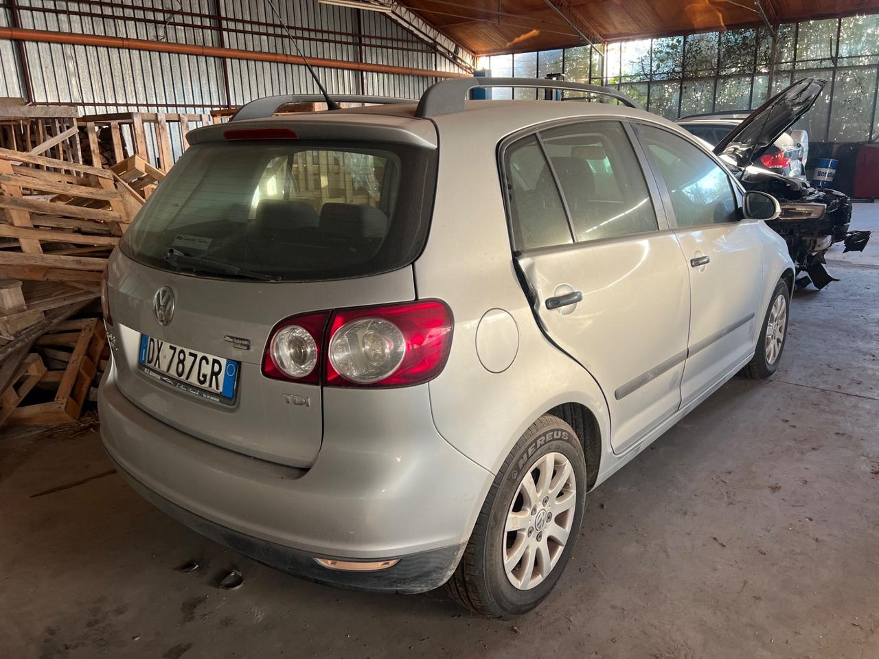 Volkswagen Golf Plus 1.9 TDI DPF 5p. DSG Comfortline