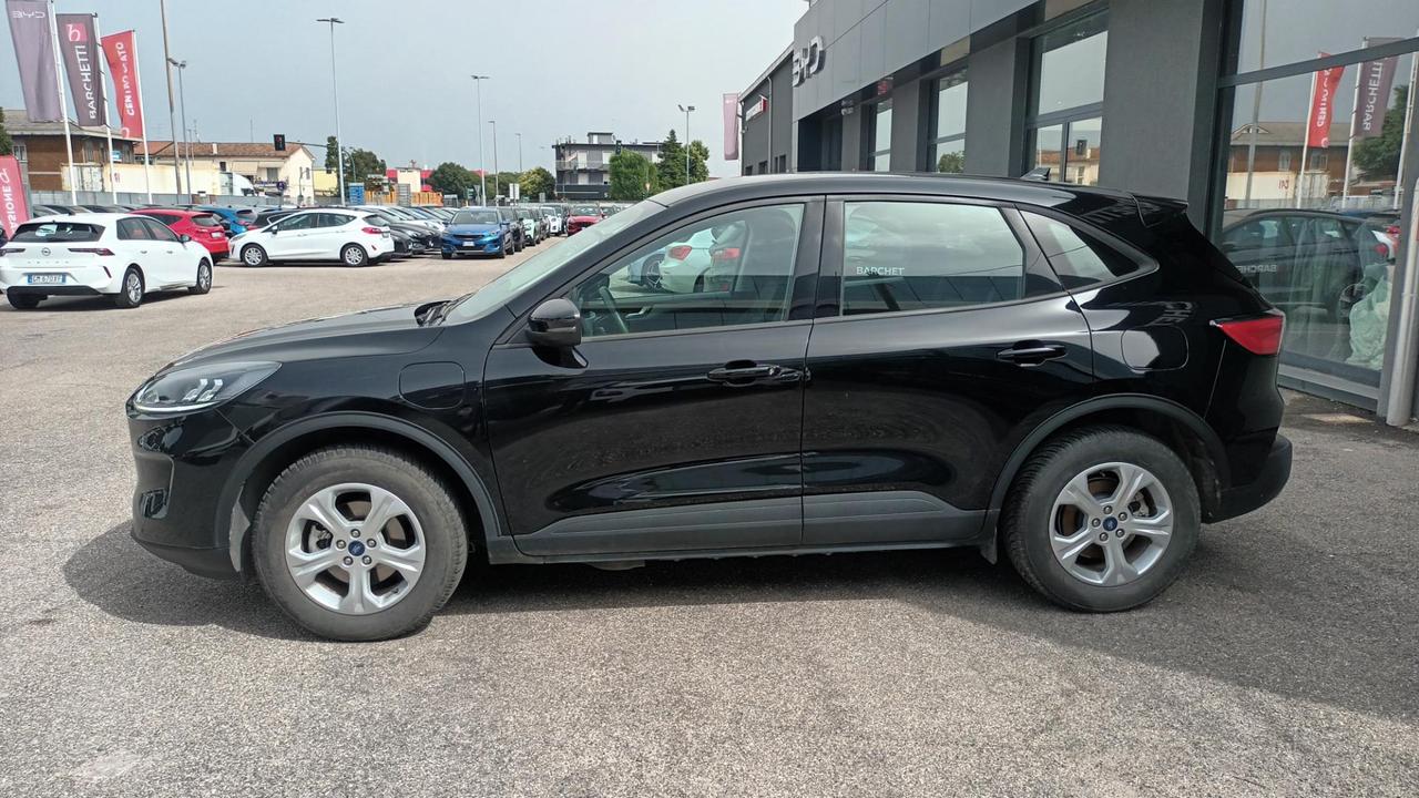 FORD Kuga 3ª serie - Kuga 2.5 Plug In Hybrid 225 CV CVT 2WD Titanium Business