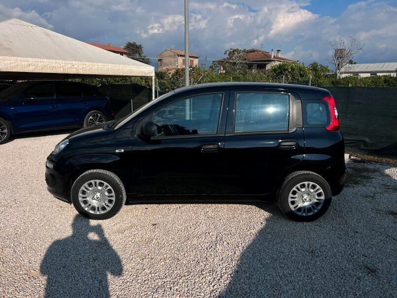 Fiat Panda 1.0 FireFly S&S Hybrid Pandina