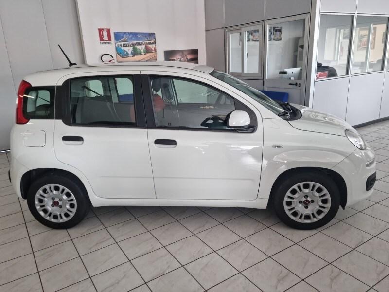 FIAT Panda 3ª serie Panda 1.0 FireFly S&S Hybr...