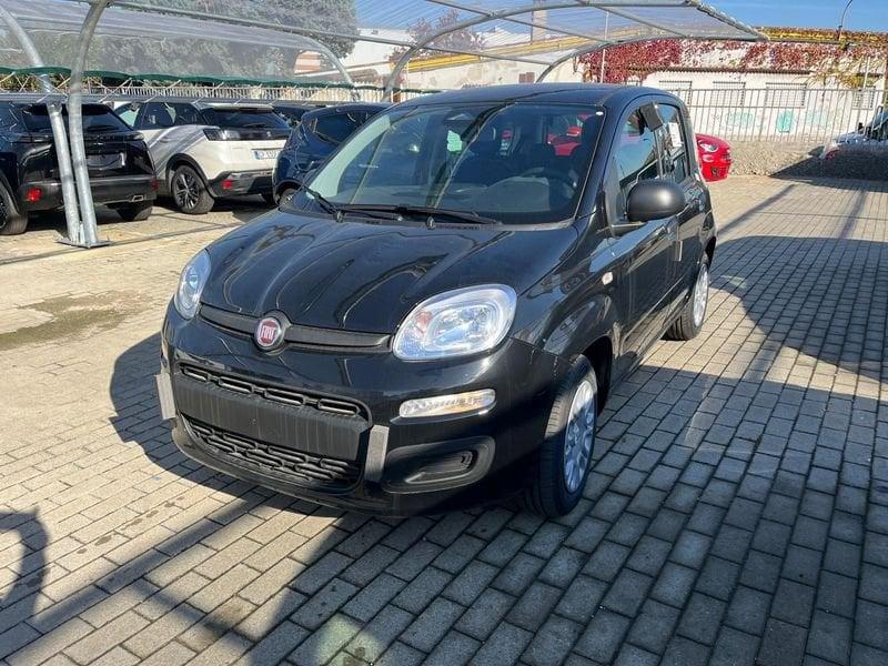FIAT Panda Panda 1.0 FireFly S&S Hybrid Icon