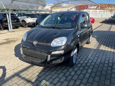 FIAT Panda Panda 1.0 FireFly S&S Hybrid Icon