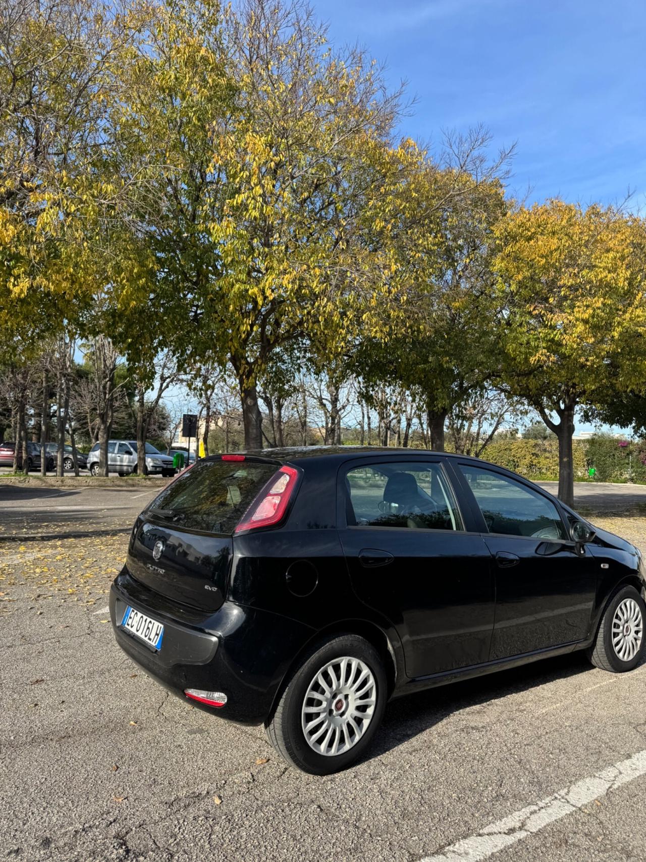 Fiat Punto Evo 1.2 5 porte Dynamic