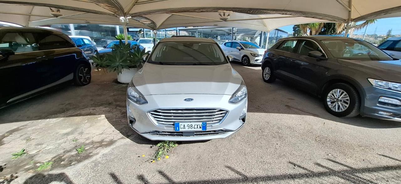 Ford Focus 1.5 EcoBlue 120 CV 5p. Business