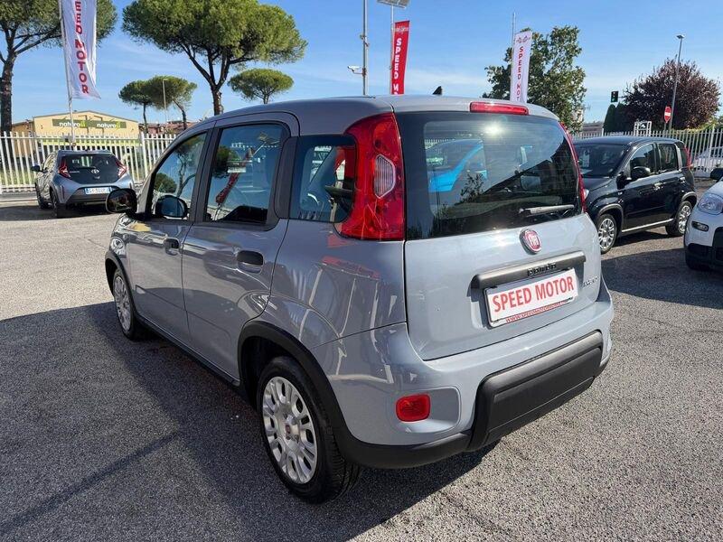 FIAT Panda Panda 1.0 firefly hybrid 70cv, CARPLAY, PRONTA CONSEGNA!