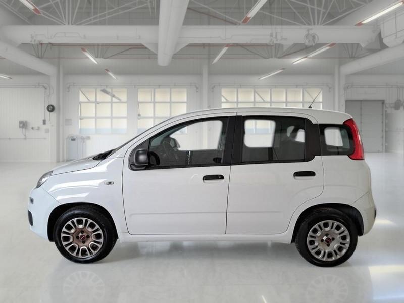 FIAT PANDA 1.2 69cv E6 Easy 5 PORTE