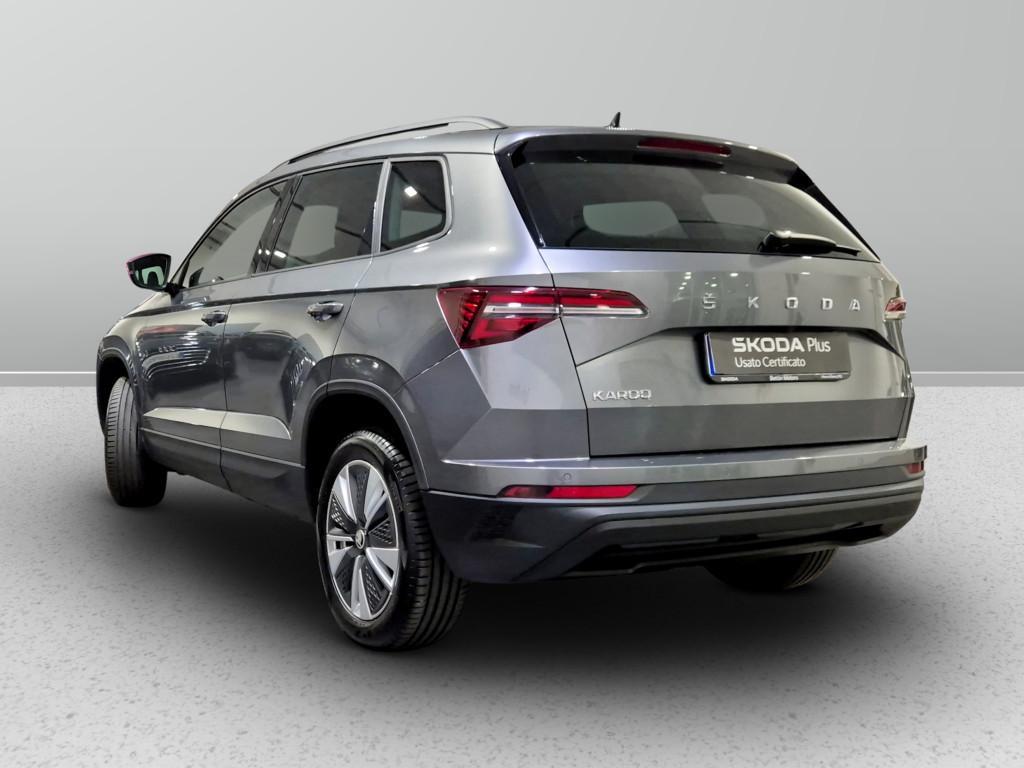 Skoda Karoq 2.0 tdi evo Executive 115cv dsg