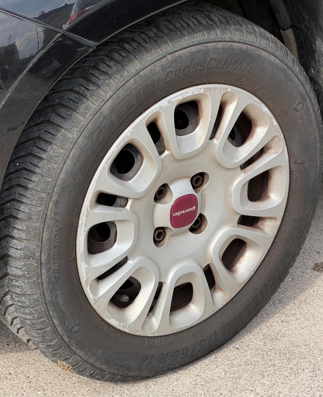 Fiat Panda 1.2 GPL- Neopatentati-Distribuzione eseguita