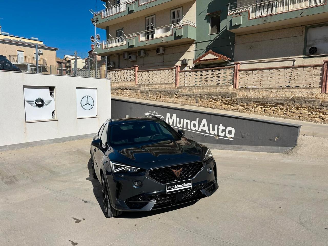 Cupra Formentor 2.0 TDI 4Drive DSG