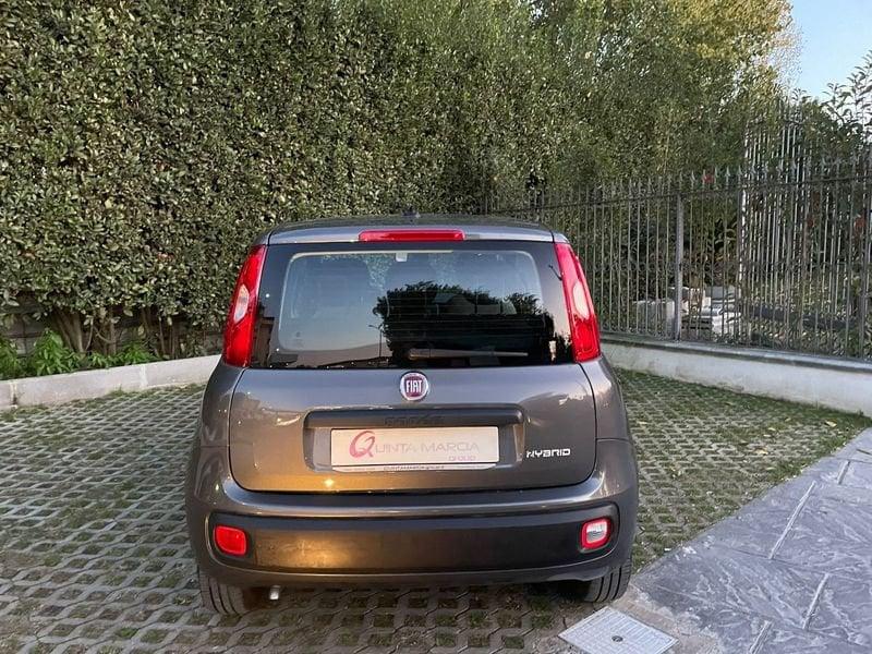 FIAT Panda 1.0 70 cv Hybrid 20.000 KM NEOPATENTATI