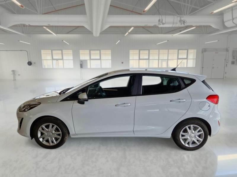 FORD FIESTA 1.5 EcoBlue 85CV Business 5 PORTE