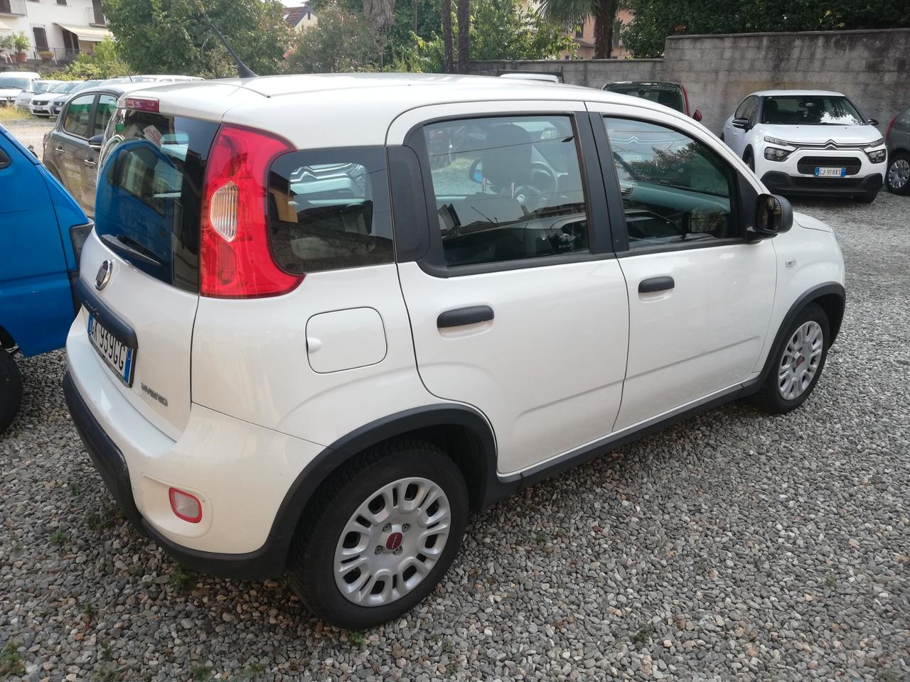 Fiat Panda 1.0 FireFly S&S Hybrid - 2023