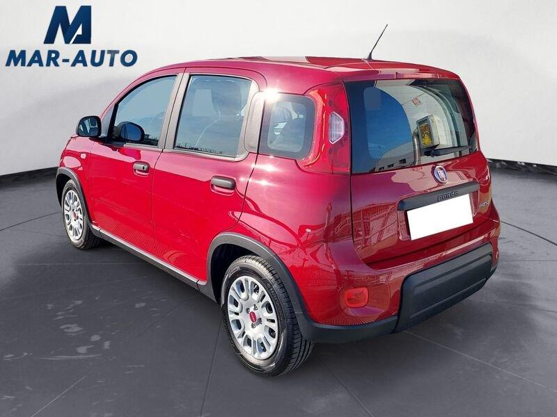 FIAT Panda Panda 1.0 firefly hybrid s&s 70cv