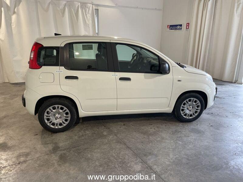 FIAT Panda 1.0 70cv Hybrid Panda