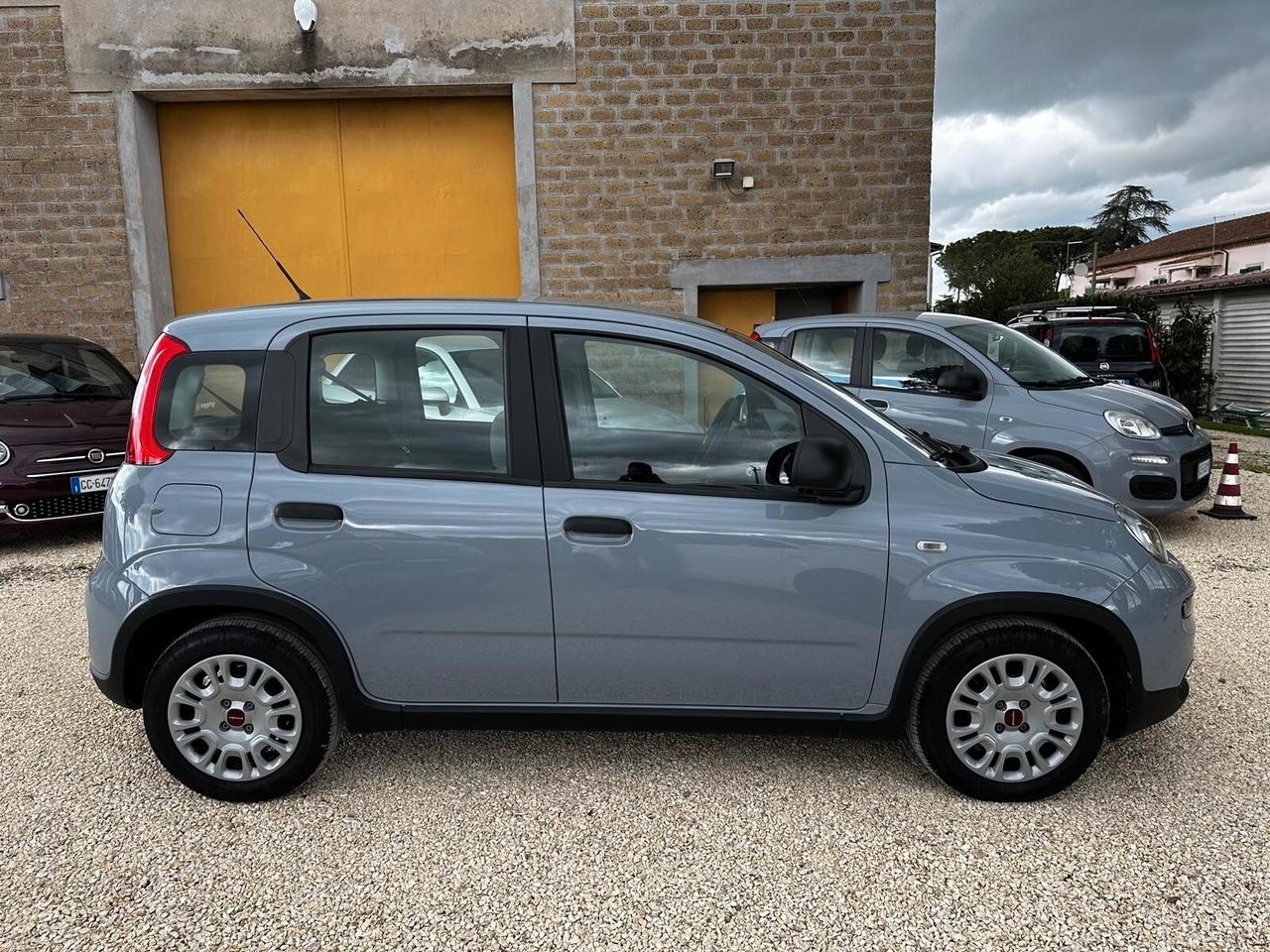 FIAT PANDA 1.0 FIREFLY S&S HYBRID PREZZO REALE