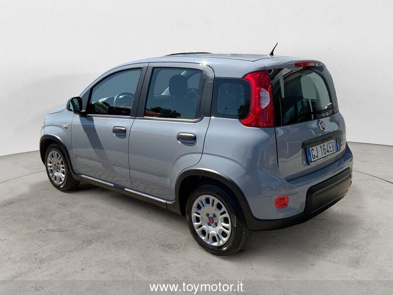 FIAT Panda 3ª serie 1.0 FireFly S&S Hybrid