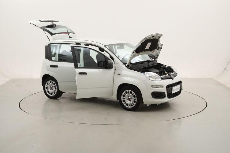 Fiat Panda Hybrid BR173885 1.0 Mild Hybrid 70CV